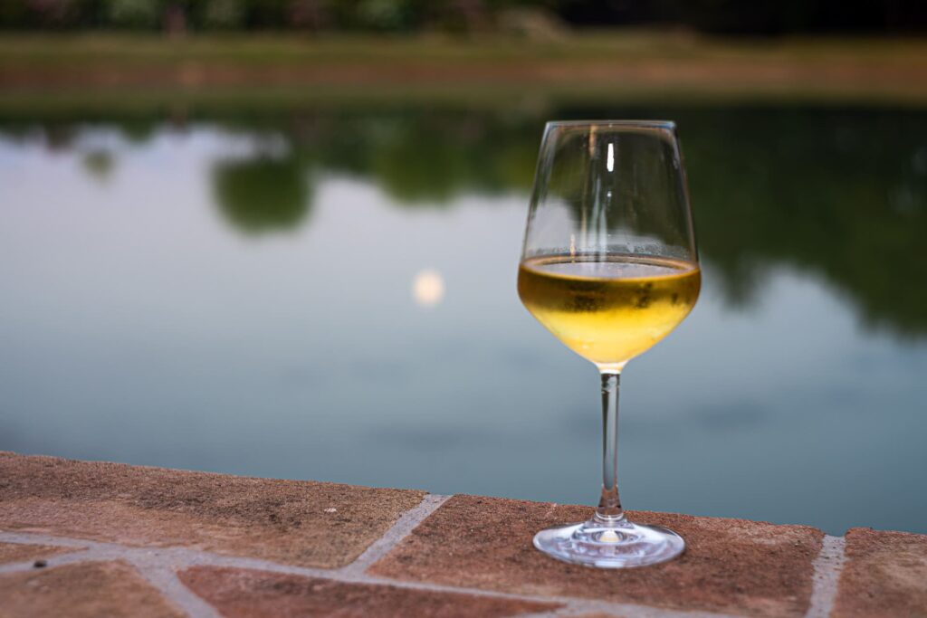 calice di vino a bordo lago